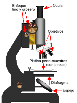 Esquema de un microscopio
